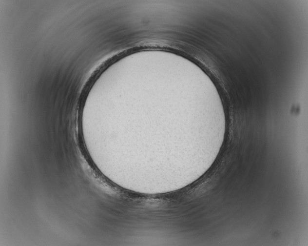 X0000110710984200907101240