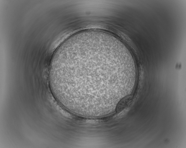 X0000110710985200907101240