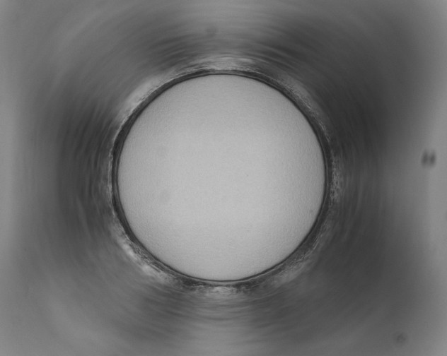 X0000110710986200907101240