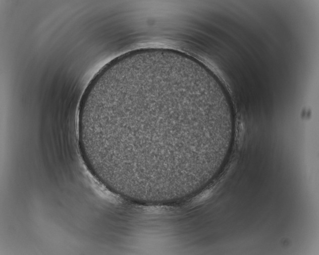 X0000110710988200907101240