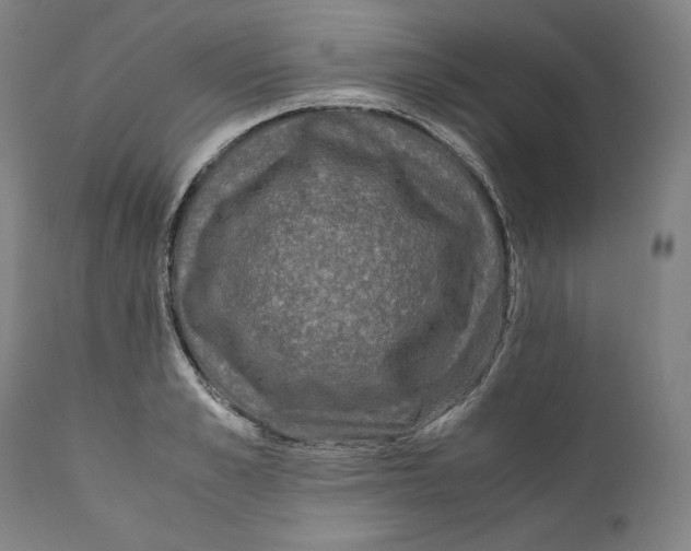 X0000110710989200907101240