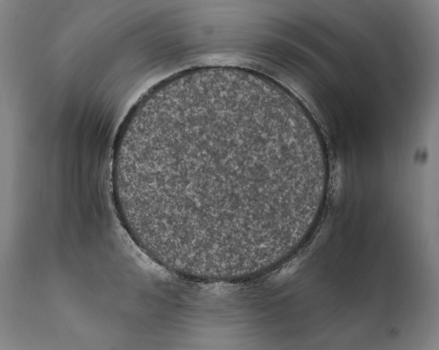 X0000110710992200907101240