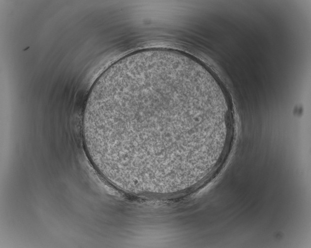 X0000110710993200907101240