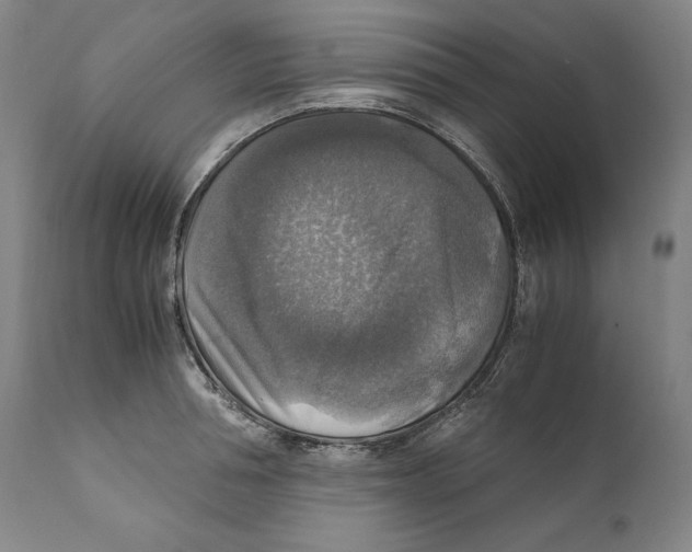 X0000110710994200907101240