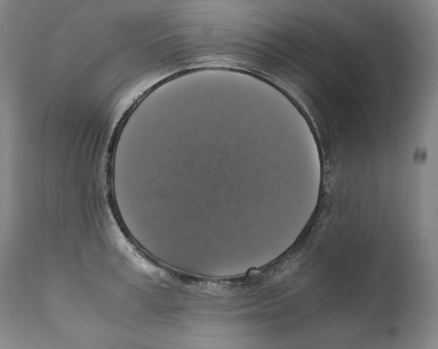 X0000110710995200907101240