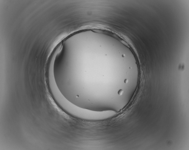 X0000110710997200907101240