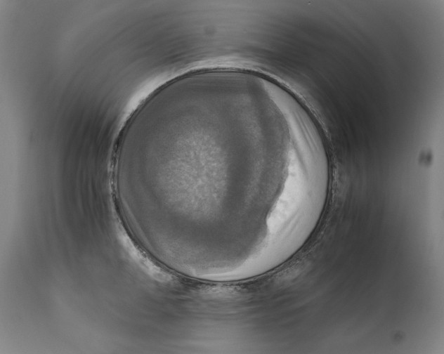 X0000110710998200907101240