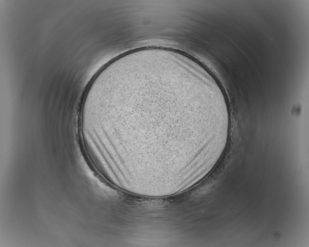 X0000110710999200907101240