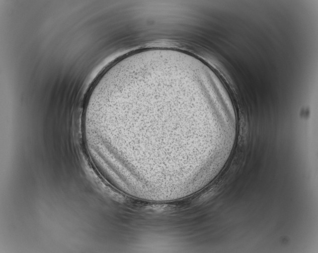 X0000110711000200907101240