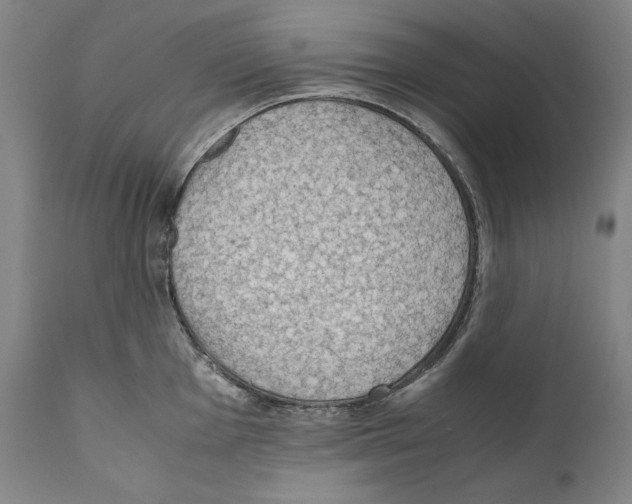 X0000110711001200907101240