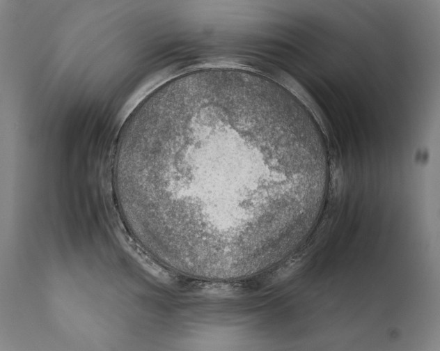 X0000110711002200907101240