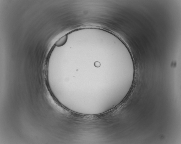 X0000110711003200907101240