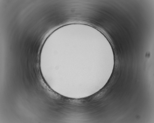 X0000110711004200907101240