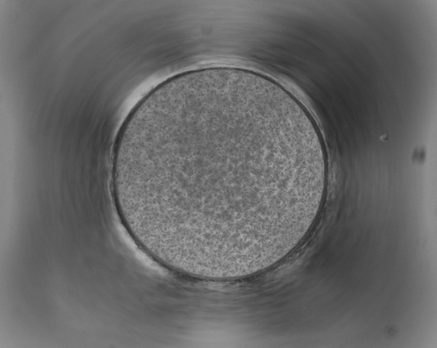 X0000110711005200907101240