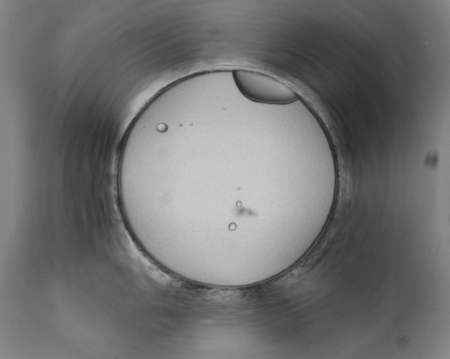 X0000110711006200907101240