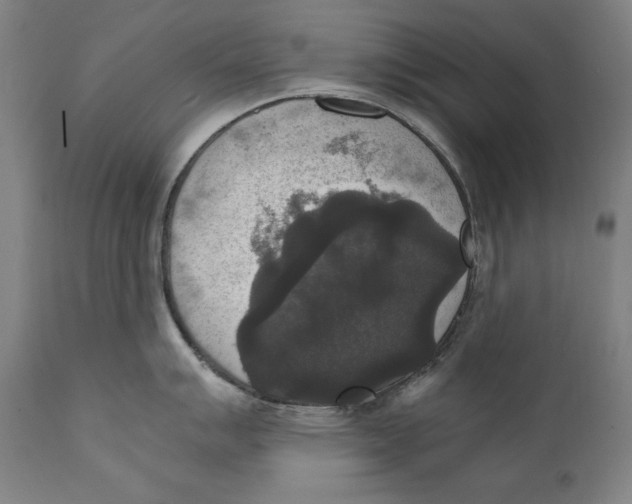 X0000110711007200907101240