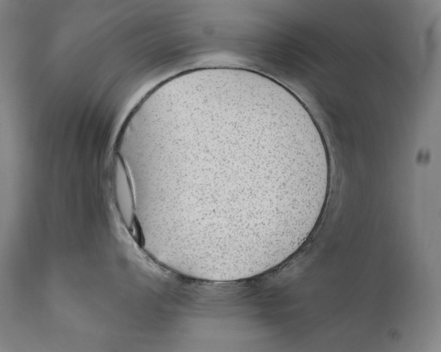 X0000110711008200907101240