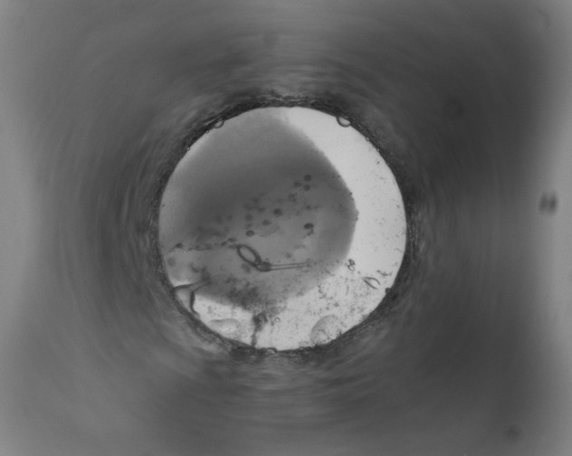 X0000110711009200907101239