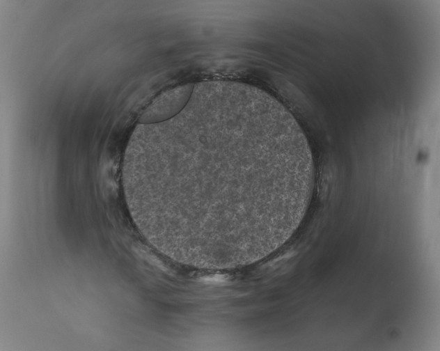 X0000110711010200907101239