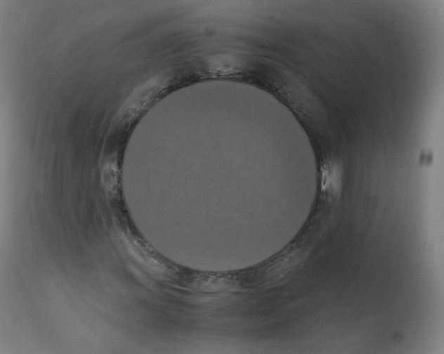 X0000110711011200907101239