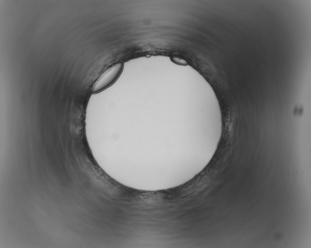 X0000110711012200907101239