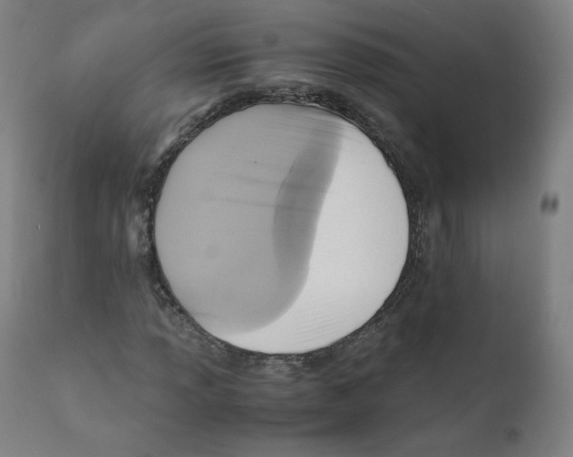 X0000110711013200907101239