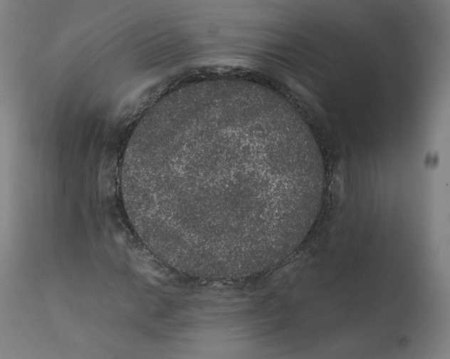 X0000110711014200907101239