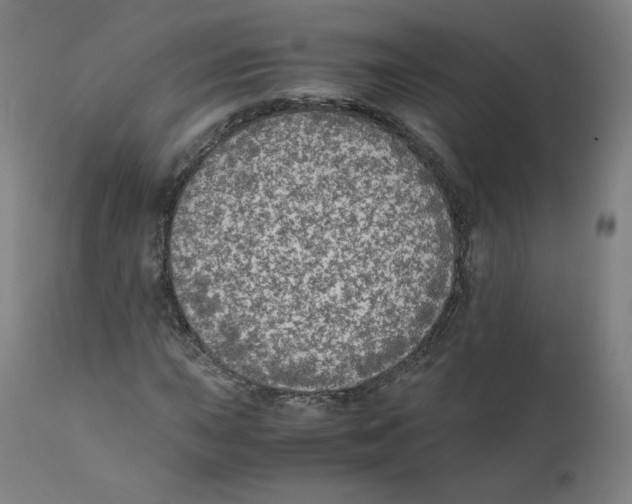 X0000110711015200907101239