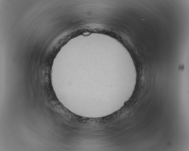 X0000110711016200907101239