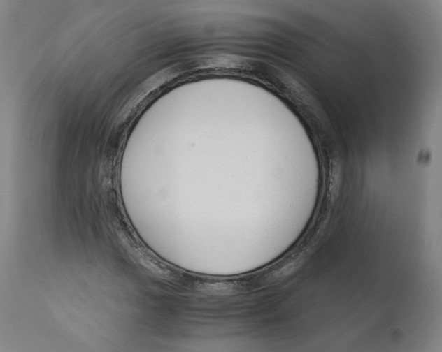 X0000110711017200907101239