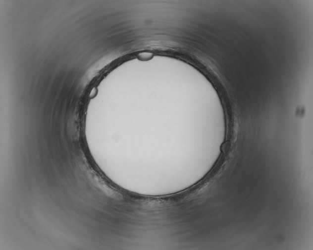 X0000110711018200907101239