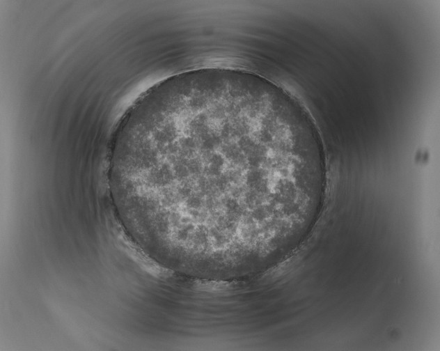 X0000110711019200907101239