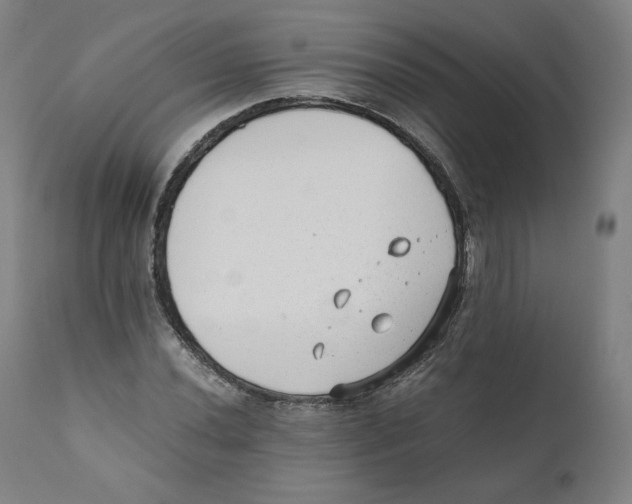 X0000110711020200907101239