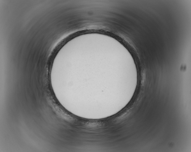 X0000110711021200907101239