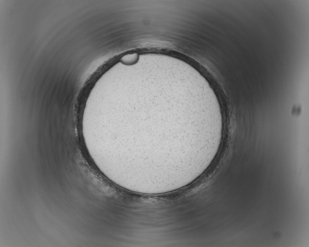 X0000110711022200907101239