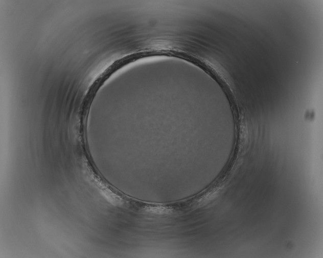 X0000110711023200907101239