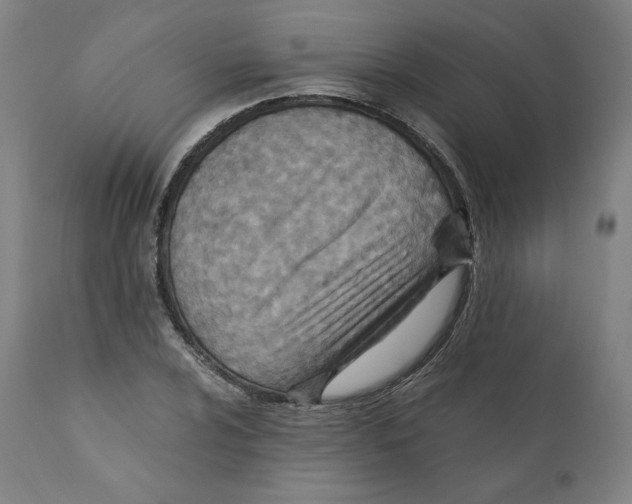 X0000110711024200907101239