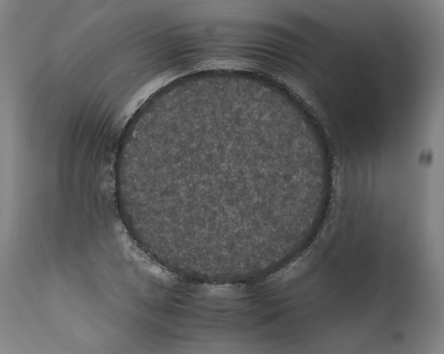 X0000110711025200907101239