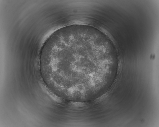 X0000110711027200907101239