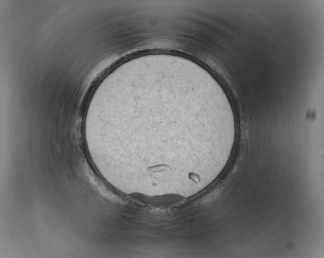 X0000110711029200907101239