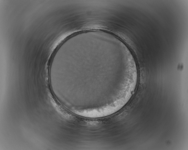 X0000110711031200907101239