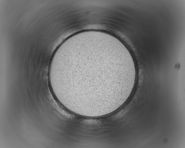 X0000110711033200907101239