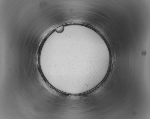 X0000110711034200907101239