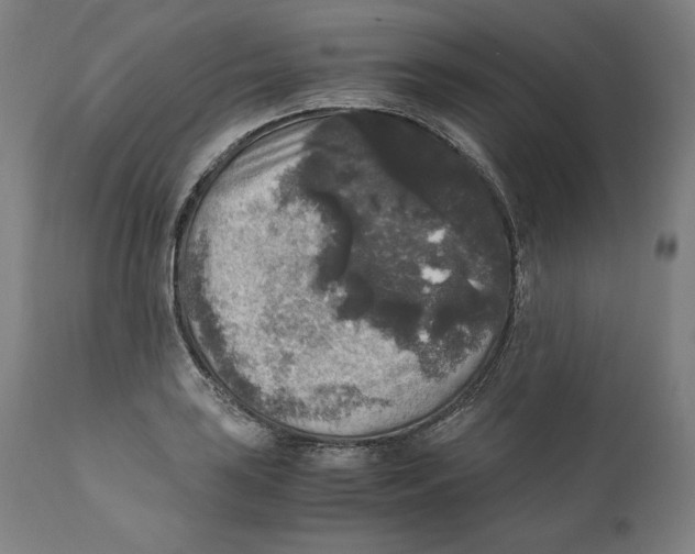 X0000110711035200907101239