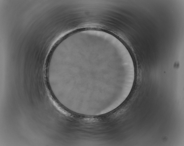 X0000110711037200907101239