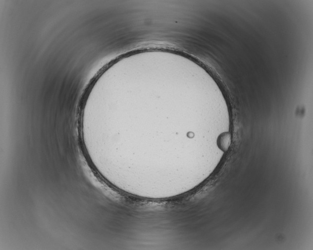 X0000110711038200907101239