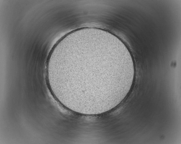 X0000110711040200907101239