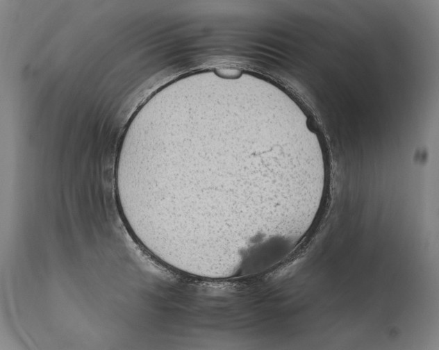 X0000110711041200907101239