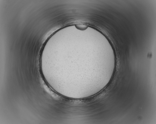 X0000110711042200907101239