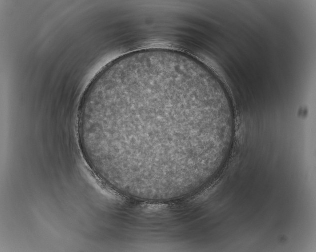 X0000110711043200907101239